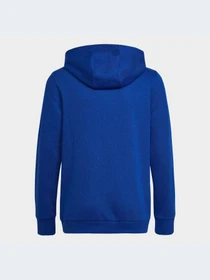 Худи и свитшоты Adidas модель HN1912-KZ Фото