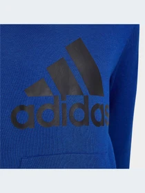 Худи и свитшоты Adidas модель HN1912-KZ Фото