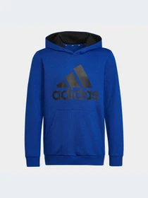 Худи и свитшоты Adidas модель HN1912-KZ Фото