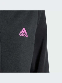 Худи и свитшоты Adidas модель IJ6229-KZ Фото