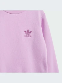 Одежда для младенцев Adidas Adicolor модель IR6805-KZ Фото