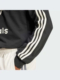Худи и свитшоты Adidas модель JD1091-KZ Фото