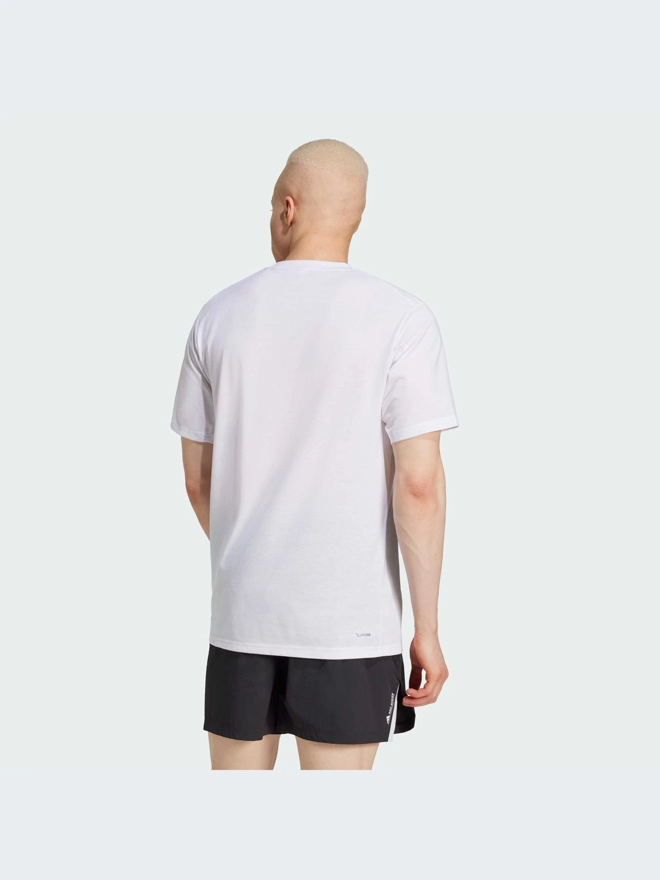 Футболки и поло Adidas модель JD8232-KZ Футболки и поло Adidas модель JD8232-KZ Фото
