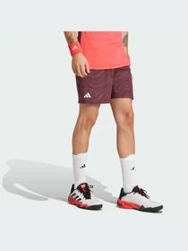 Шорты Adidas модель JL8667-KZ Фото