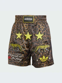 Шорты Adidas модель KA4545-KZ Фото