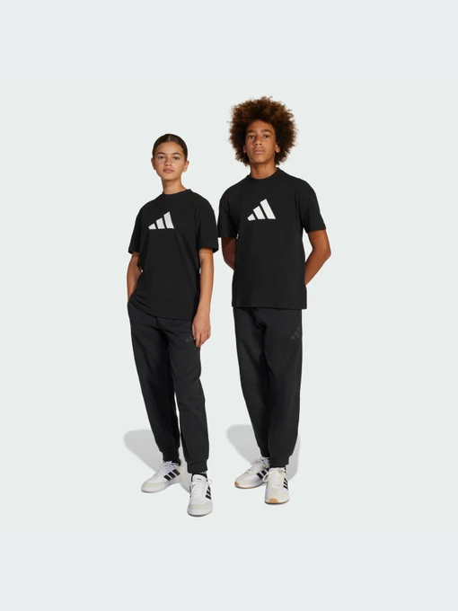Повседневные штаны Adidas Icons модель JC7566-KZ Фото
