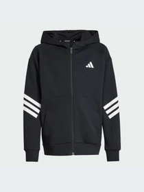 Худи и свитшоты Adidas модель JJ4801-KZ Фото