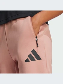 Брюки Adidas ZNE модель JD5995-KZ Фото