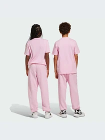 Брюки Adidas модель JI6165-KZ Фото