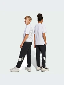 Брюки Adidas модель JJ4808-KZ Фото