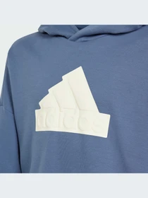 Худи и свитшоты Adidas Icons модель IR8306-KZ Фото