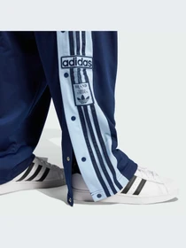 Брюки Adidas Adicolor модель JN8756-KZ Фото