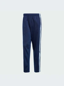 Брюки Adidas Adicolor модель JN8756-KZ Фото