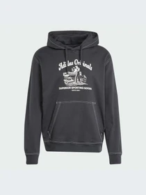 Худи и свитшоты Adidas Graphics модель JP4483-KZ Фото