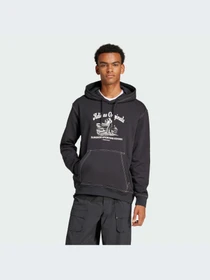Худи и свитшоты Adidas Graphics модель JP4483-KZ Фото