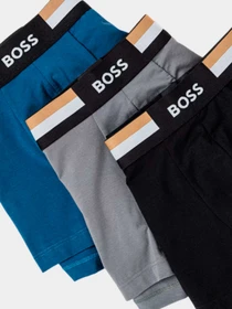 Нижнее белье Boss модель 50516542-981 Фото