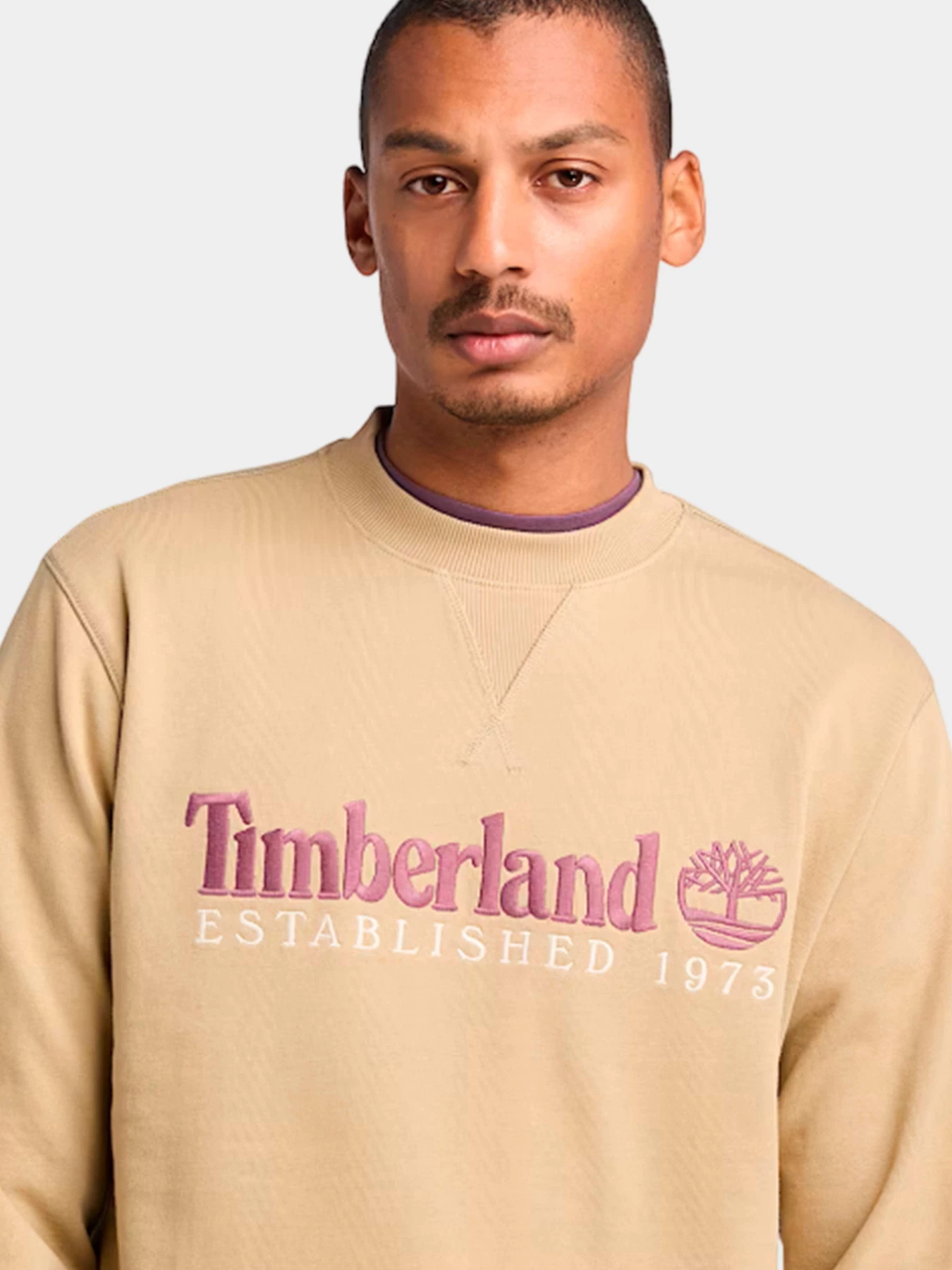 Худи и свитшоты Timberland модель TB0A2FEQDH4 Фото