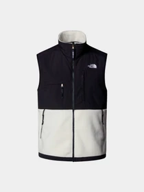 Худи и свитшоты The North Face модель NF0A88XJROU1 Фото