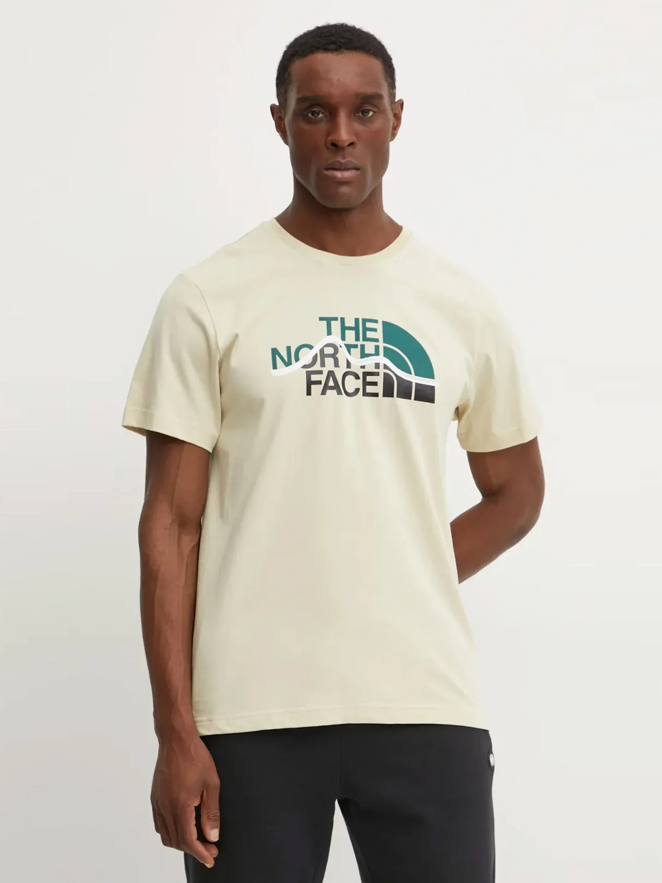 Футболки и поло The North Face модель NF0A87NT3X41 Футболки и поло The North Face модель NF0A87NT3X41 Фото
