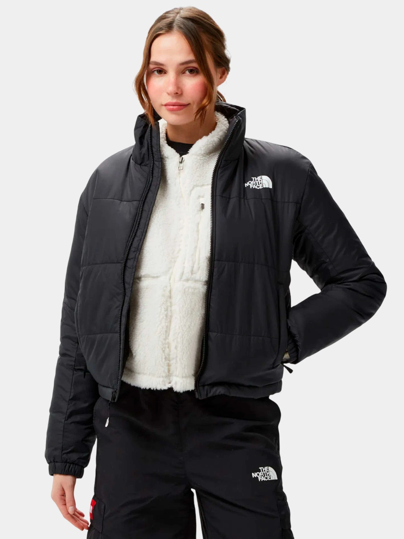 Куртки и дубленки The North Face модель NF0A879X4H01 Куртки и дубленки The North Face модель NF0A879X4H01 Фото