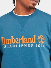 Худи и свитшоты Timberland модель TB0A2FEQ288 Фото