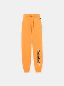 Брюки Timberland модель TB0A5YFBP47 Фото