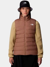 Худи и свитшоты The North Face модель NF0A84JP6IH1 Фото