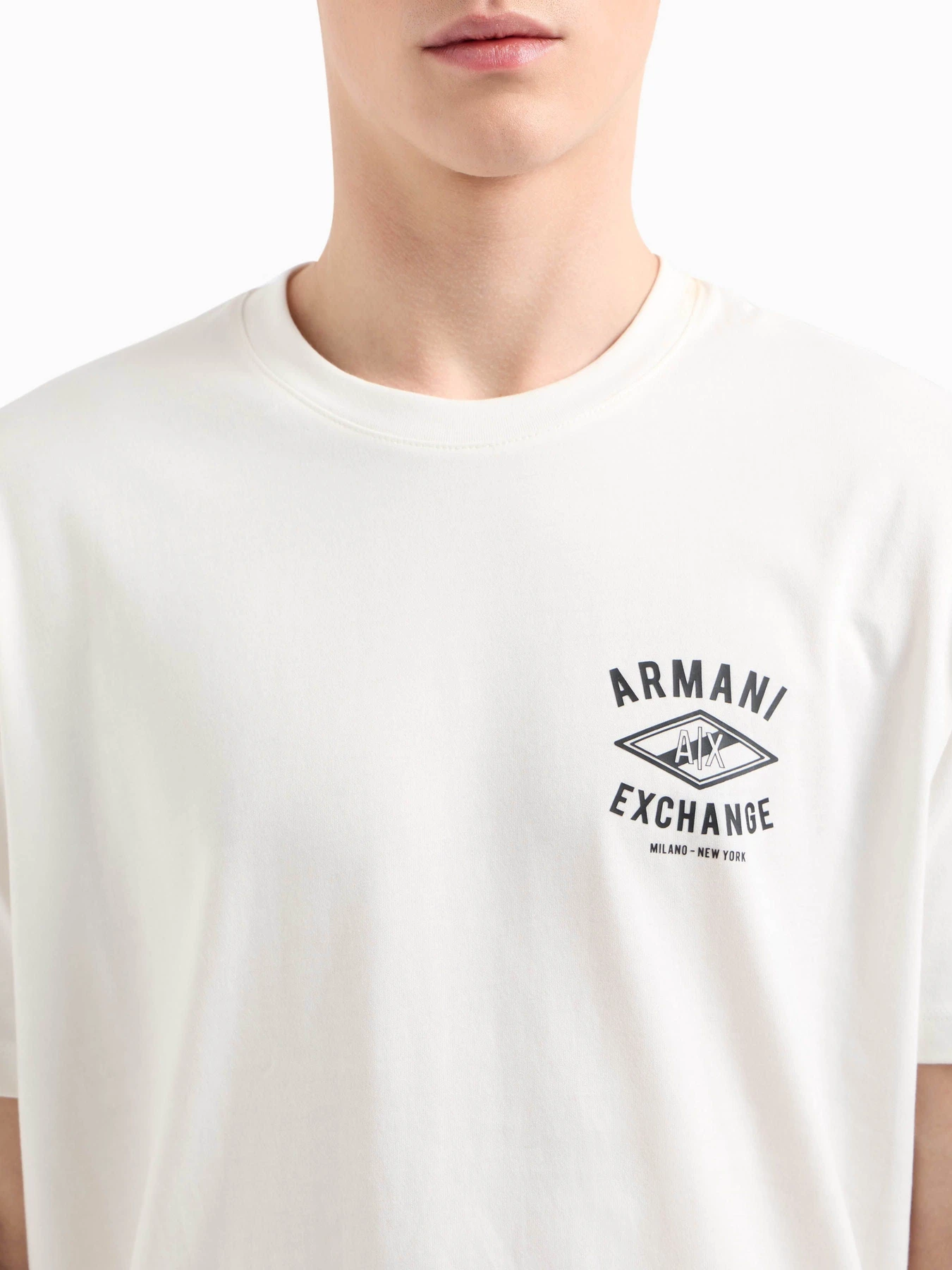 Футболки и поло Armani Exchange модель XM000550-AF10362-U0009 Фото