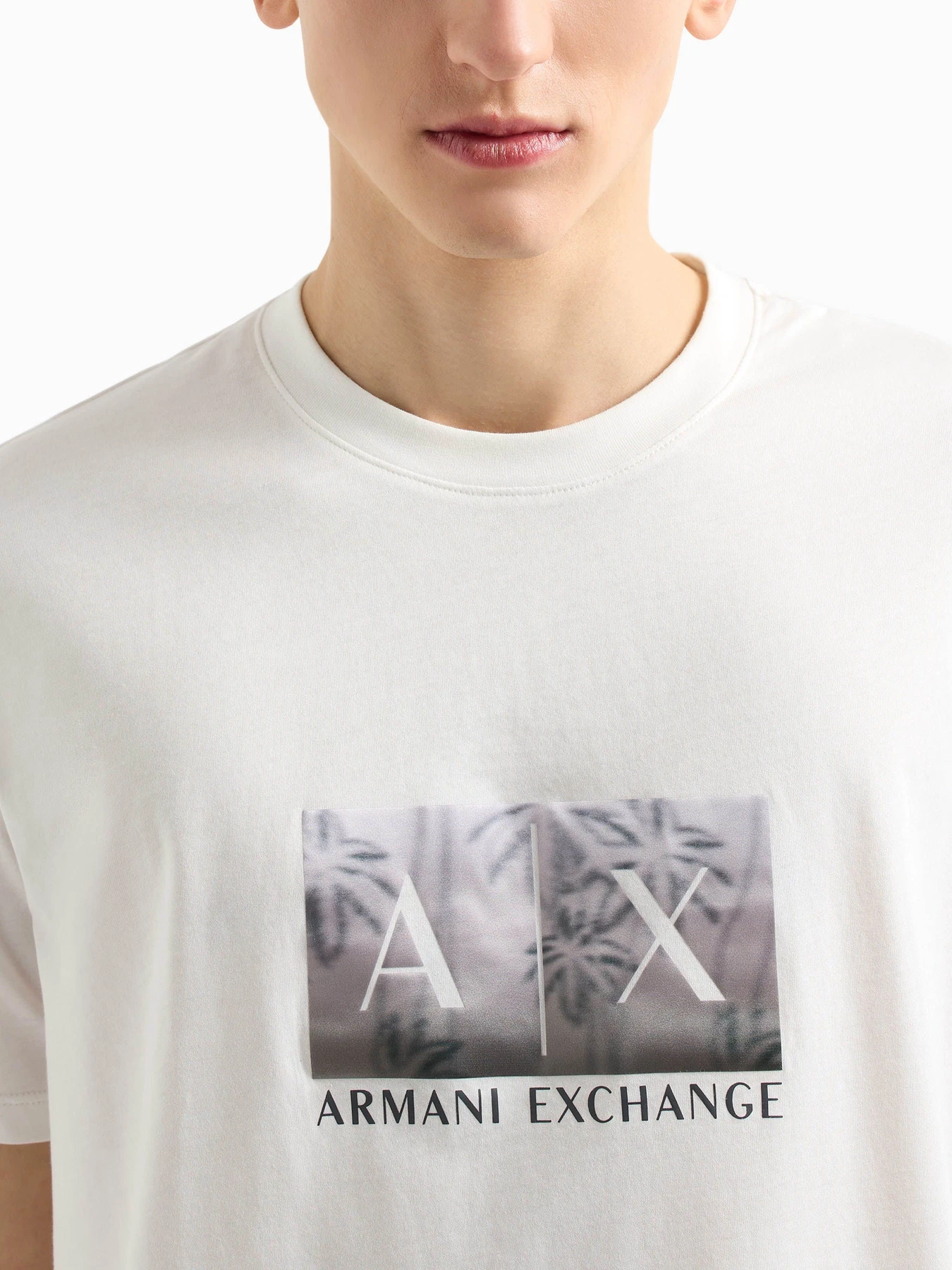 Футболки и поло Armani Exchange модель XM000555-AF10358-U0009 Фото