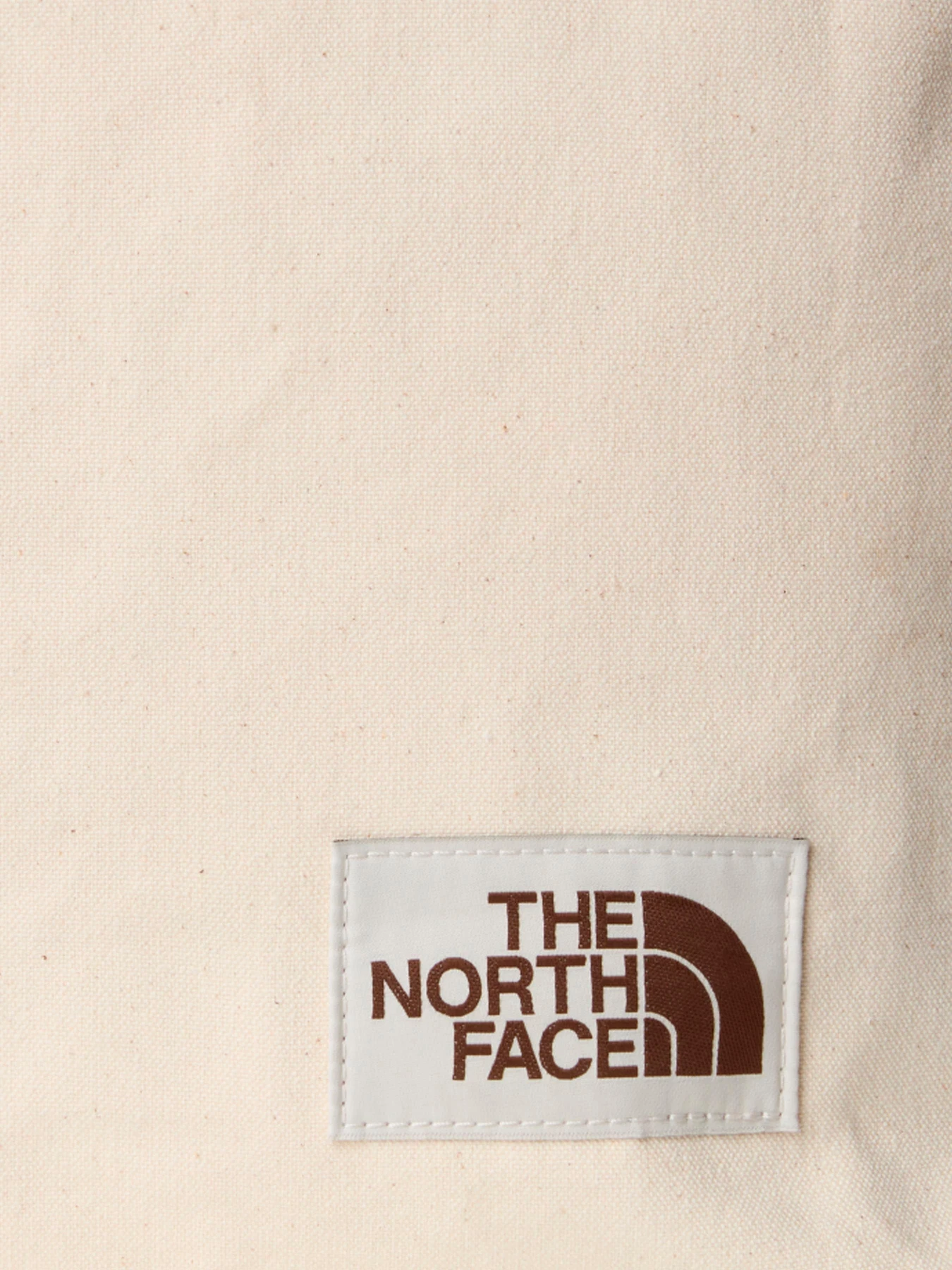Сумки The North Face модель NF0A3VWQBUO1 Фото