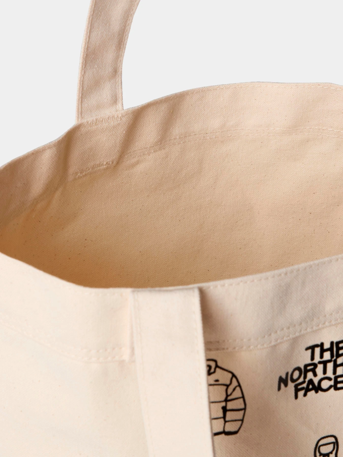 Сумки The North Face модель NF0A3VWQBUO1 Фото