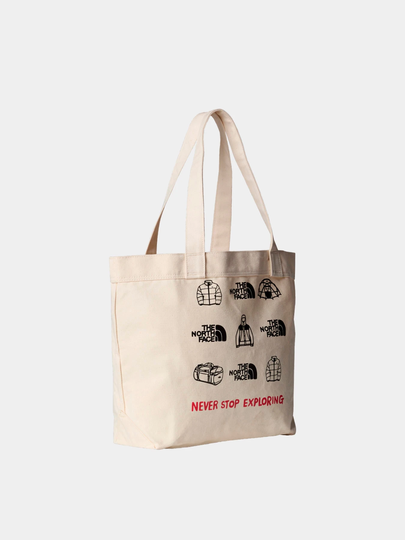 Сумки The North Face модель NF0A3VWQBUO1 Фото