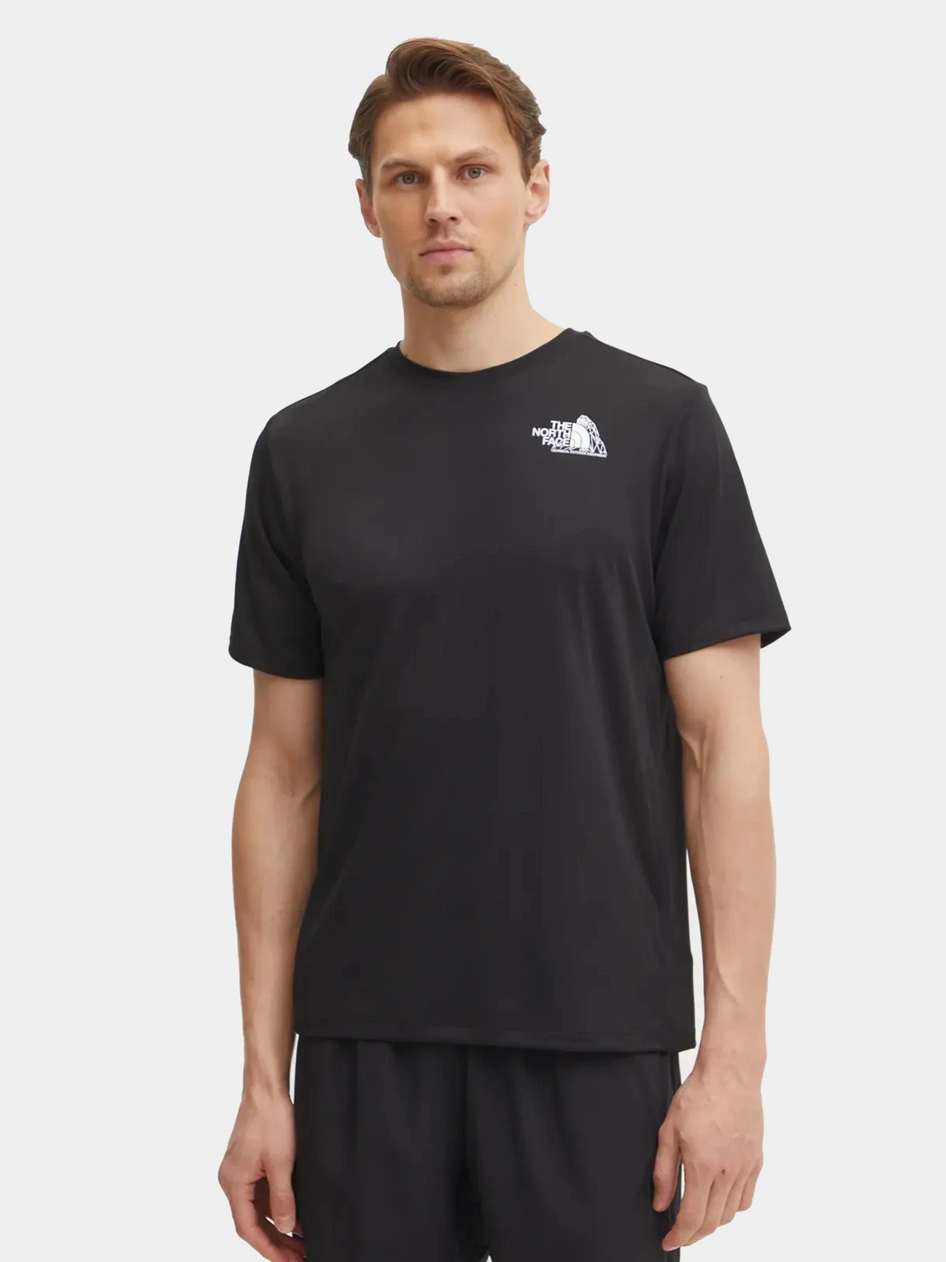 Футболки и поло The North Face модель NF0A895JJK31 Футболки и поло The North Face модель NF0A895JJK31 Фото