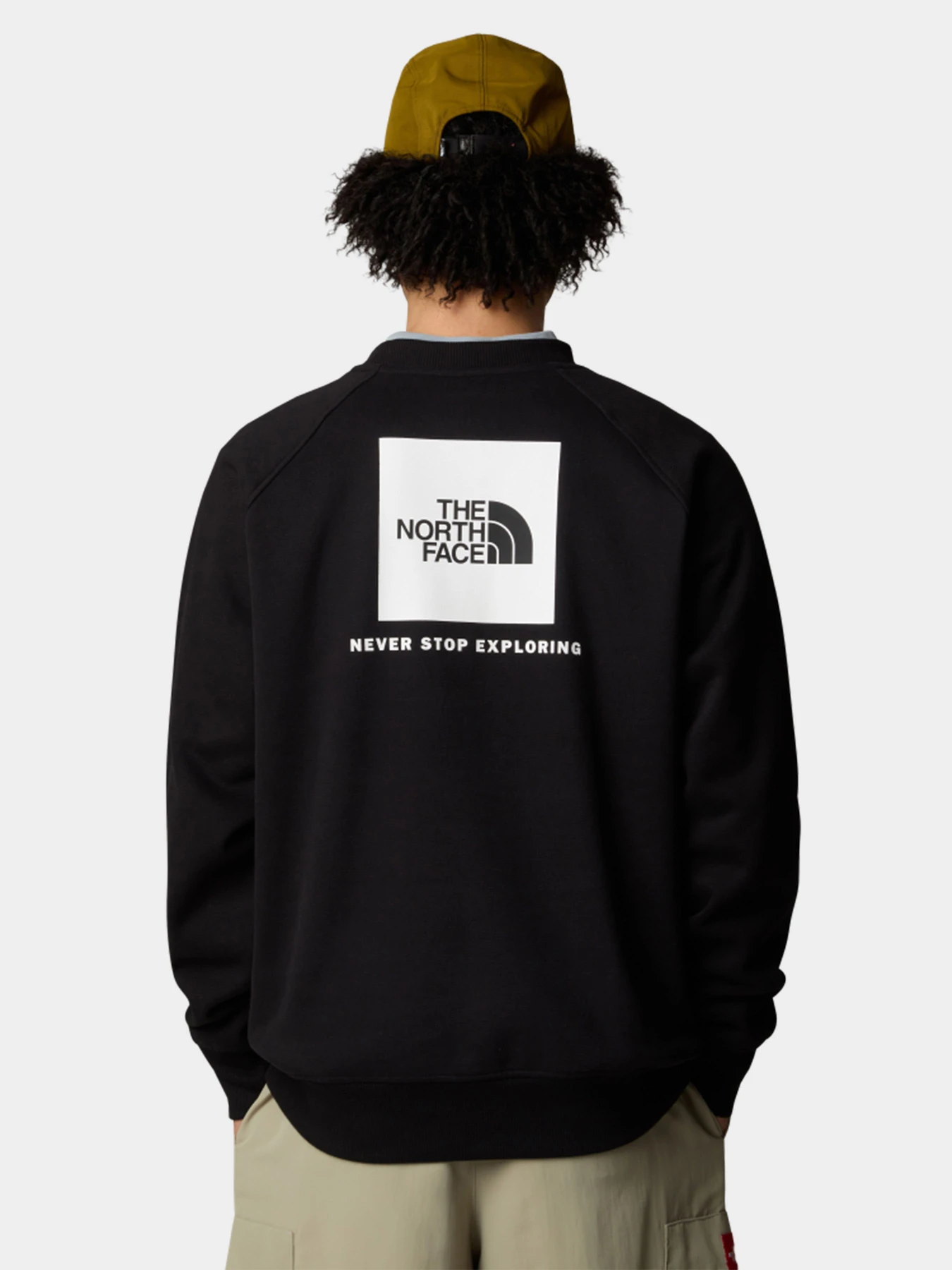 Худи и свитшоты The North Face модель NF0A89FAJK31 Фото