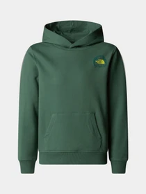 Худи и свитшоты The North Face модель NF0A8AXTHCH1 Фото