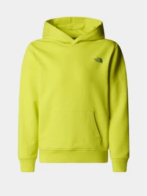 Худи и свитшоты The North Face модель NF0A8AXTJE31 Фото