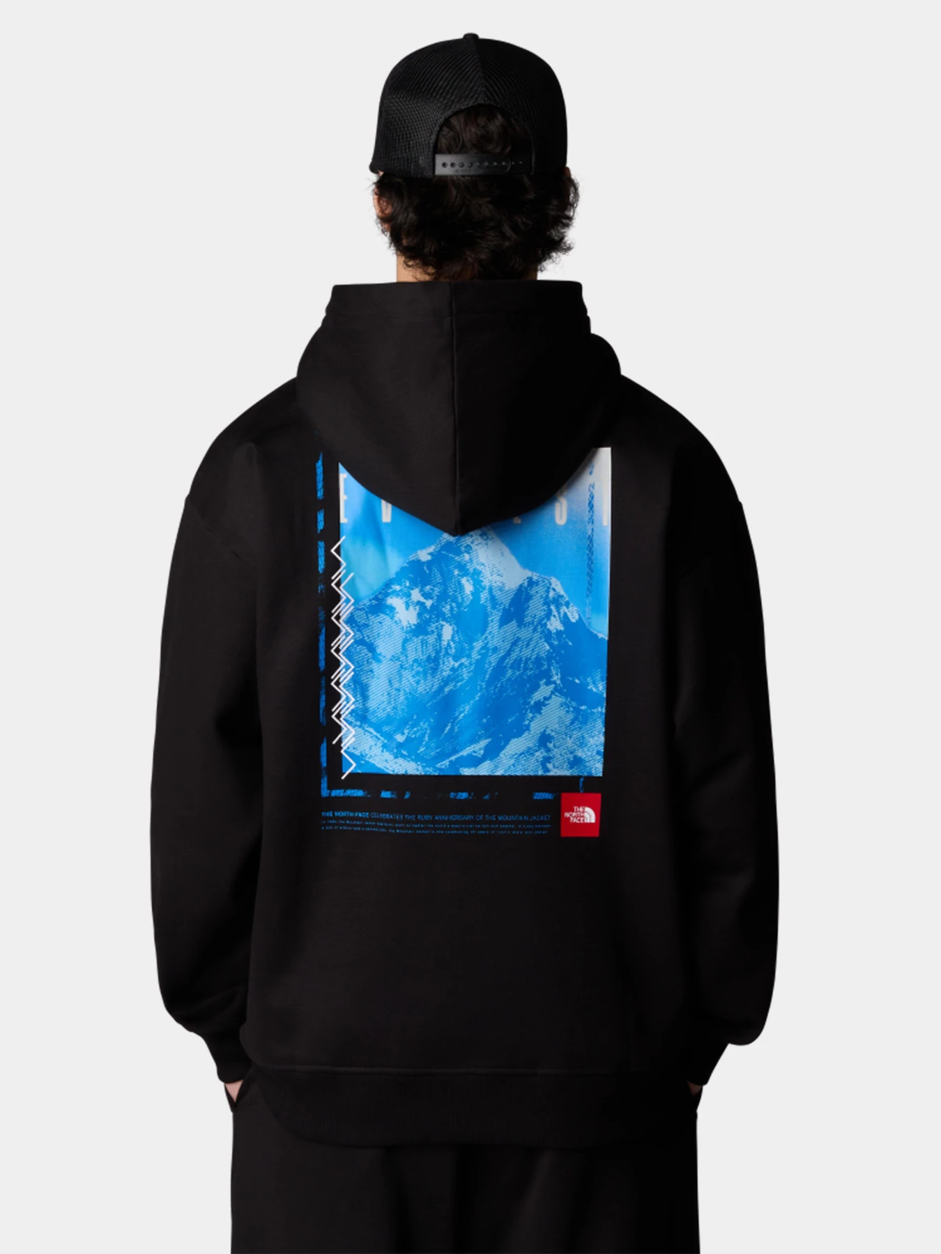 Худи и свитшоты The North Face модель NF0A8C1QJK31 Худи и свитшоты The North Face модель NF0A8C1QJK31 Фото