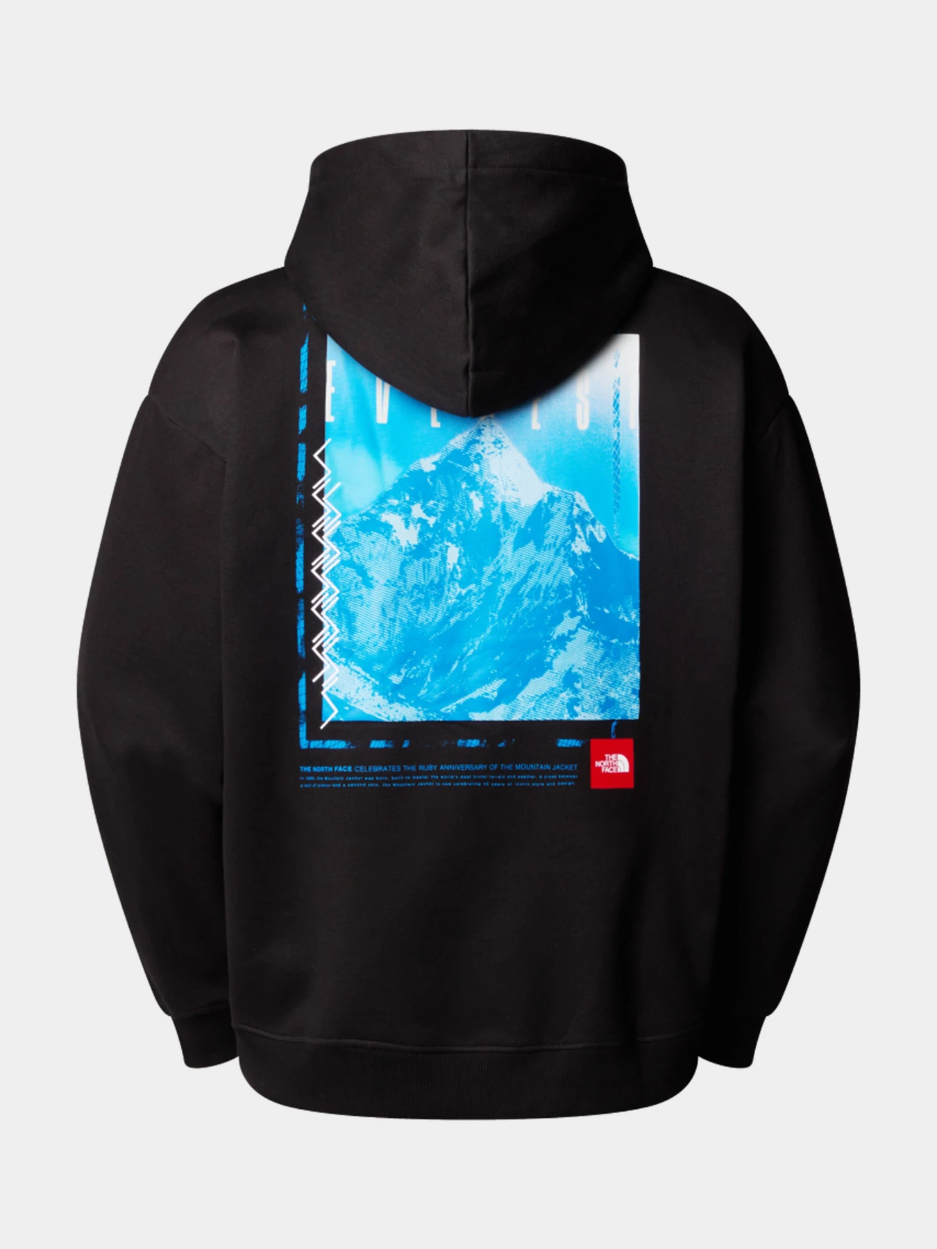 Худи и свитшоты The North Face модель NF0A8C1QJK31 Худи и свитшоты The North Face модель NF0A8C1QJK31 Фото