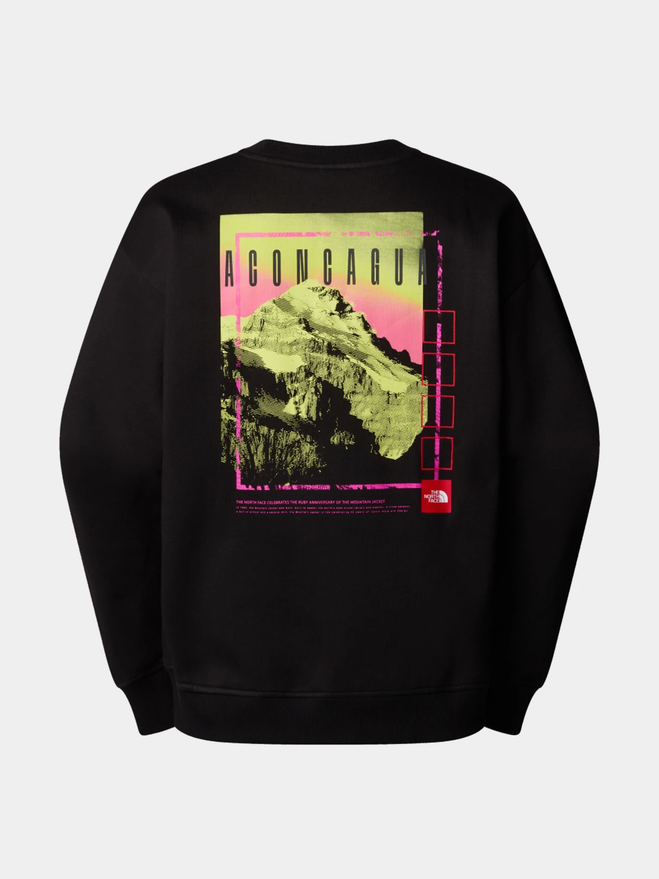 Худи и свитшоты The North Face модель NF0A8C1SJK31 Фото
