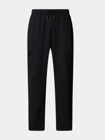 Брюки The North Face модель NF0A8C2YJK31 Фото