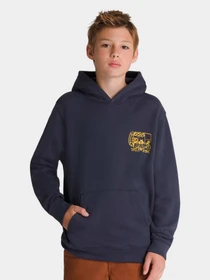 Худи и свитшоты Vans модель VN000MH0JDU1 Фото