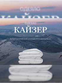 Одеяло Кайзер (200х210) TOGAS модель 20.04.13.0051 Фото