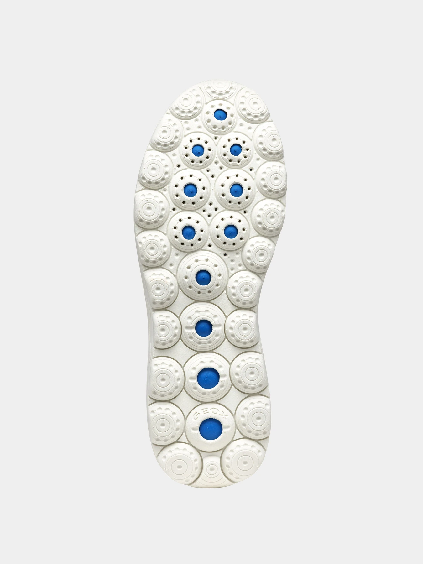 Кроссовки Geox модель D557MA-06KBC-C4002 Кроссовки Geox модель D557MA-06KBC-C4002 Фото