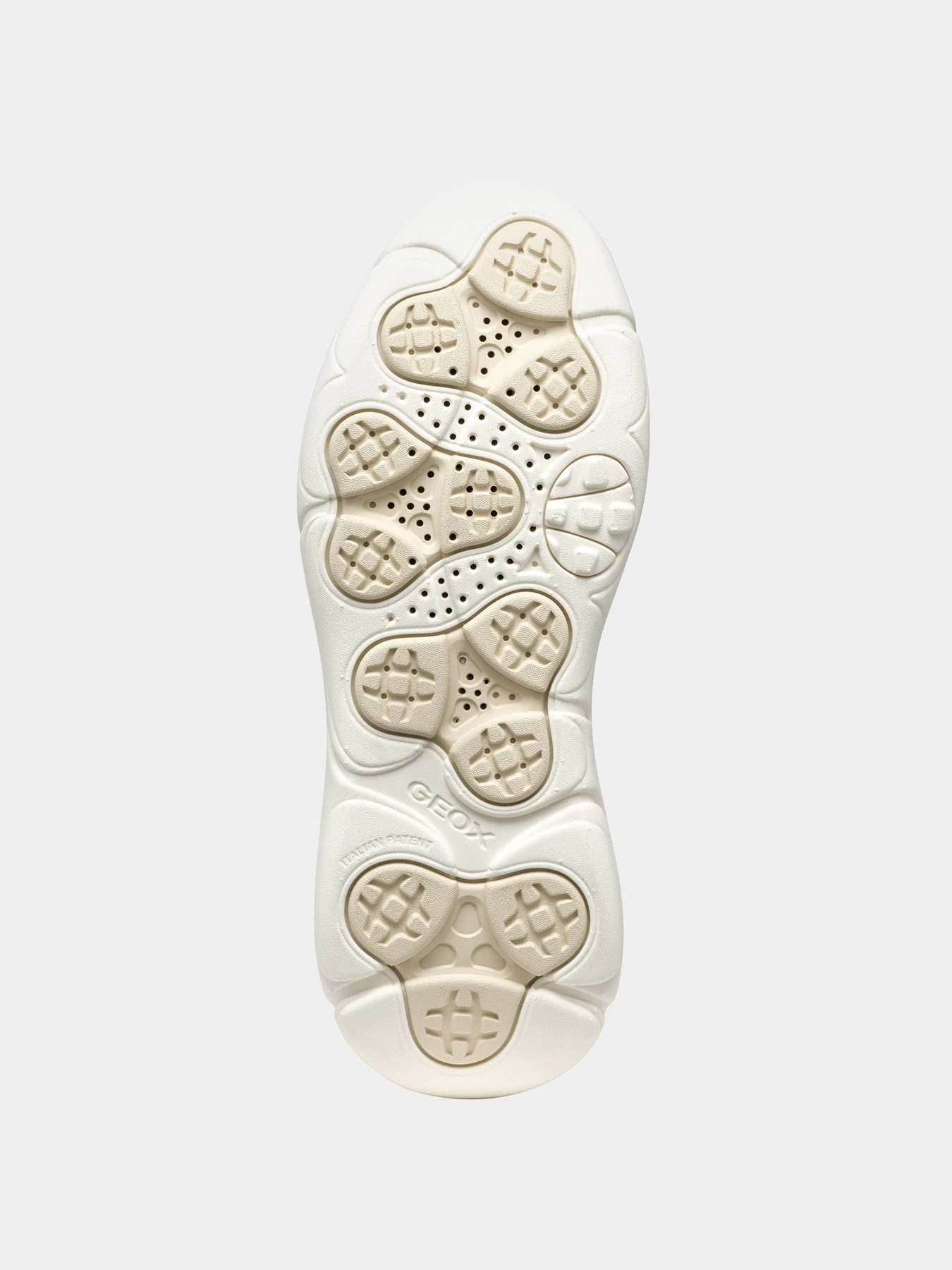 Кроссовки Geox модель D55NHA-09T22-C6738 Кроссовки Geox модель D55NHA-09T22-C6738 Фото