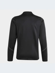 Худи и свитшоты Adidas Tiro модель HS3618-KZ Фото
