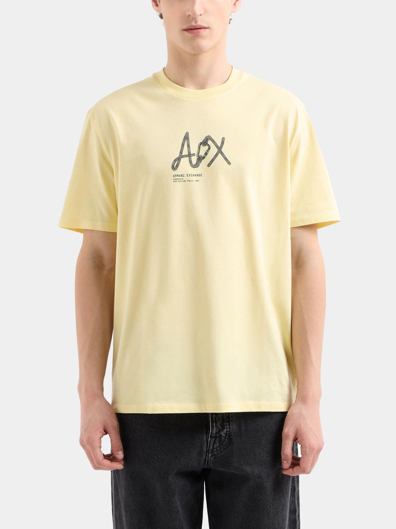 Футболки и поло Armani Exchange модель XM000566-AF10334-U2124 Футболки и поло Armani Exchange модель XM000566-AF10334-U2124 Фото