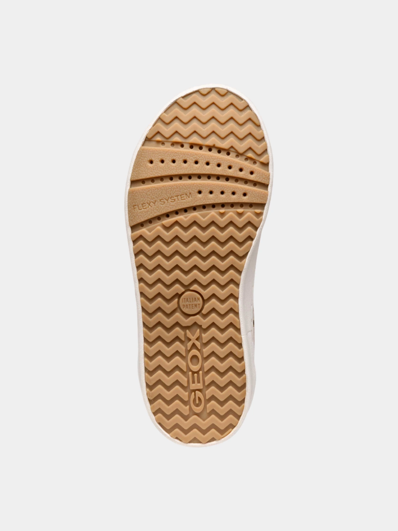 Кеды Geox модель J45D5A-007BC-C8W2U Кеды Geox модель J45D5A-007BC-C8W2U Фото