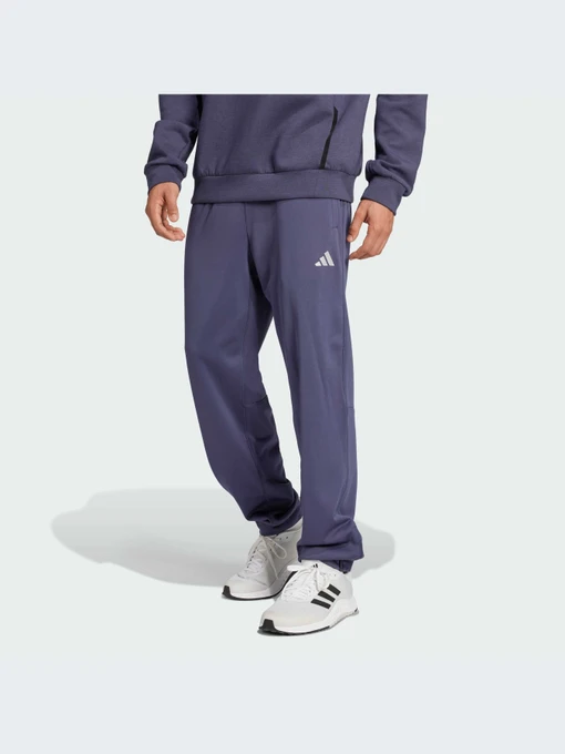 Брюки Adidas модель IW8416-KZ Фото