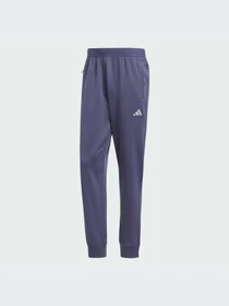 Брюки Adidas модель IW8416-KZ Фото