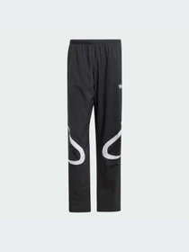 Брюки Adidas Adicolor модель JC6228-KZ Фото